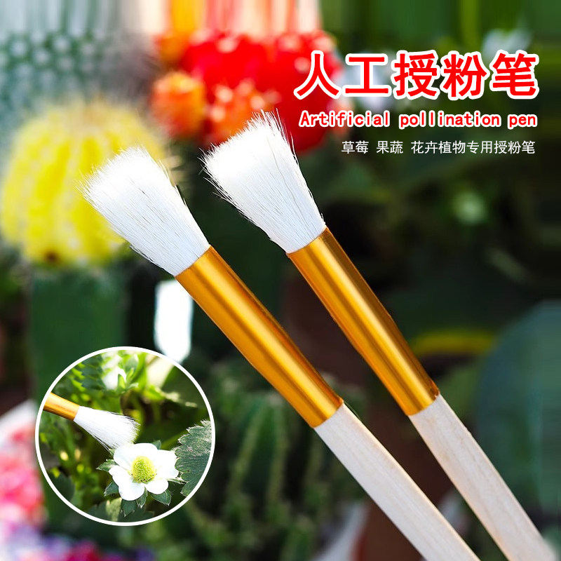 人工授粉笔授粉器花粉点花授粉刷草莓多肉西红柿无花果树授粉工具