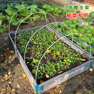 种菜专用拱棚支架小拱棚纤维杆支撑架菜地用防鸟支撑杆拱形弹力杆