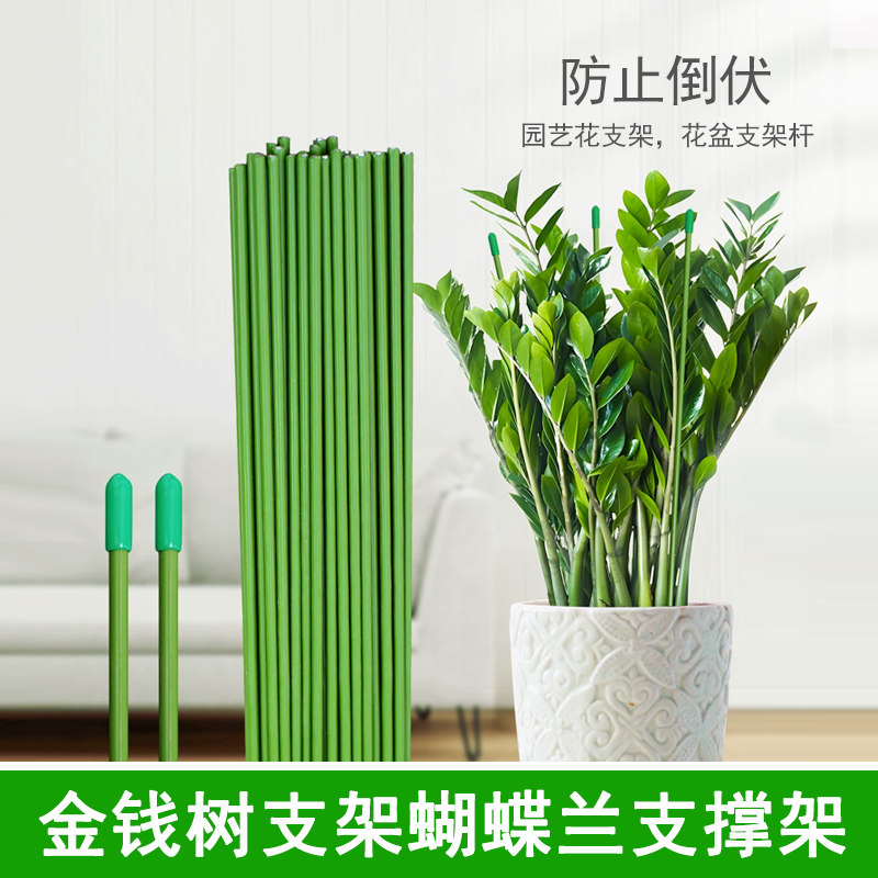花支架园艺支柱绿铁线阳台番茄黄瓜爬藤支架金钱树防倒铁丝花支架