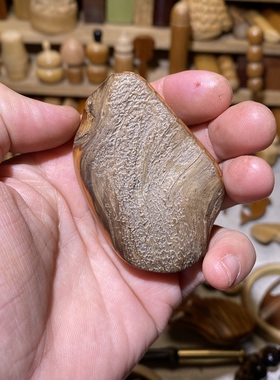 44-67-21mm太行崖柏水泥皮手把件，一物一链接，拍了下架，远山工