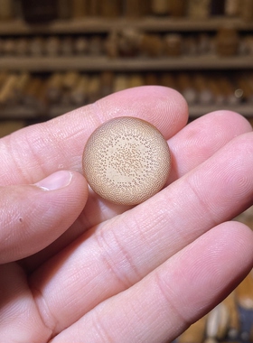 22-4mm圆片片，一物一链接，拍了下架，远山工实心玉竹手把件