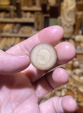 22-7mm红皮捷径圆片片，一物一链接，拍了下架，远山工实心玉竹