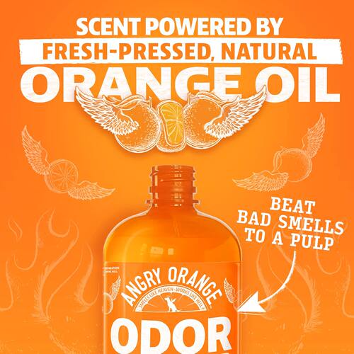 Angry Orange柑橘味家用宠物友好猫狗尿液家具地毯异味浓缩清除剂