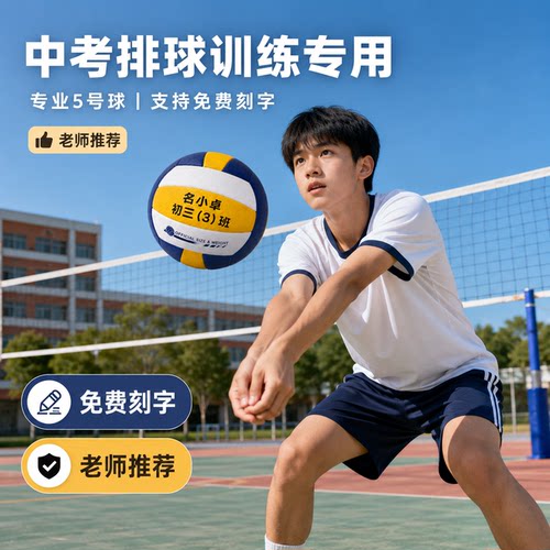 【免费印字】排球初中生中考专用