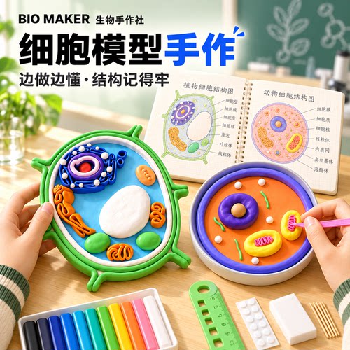 【教材同步】动植物细胞模型手工