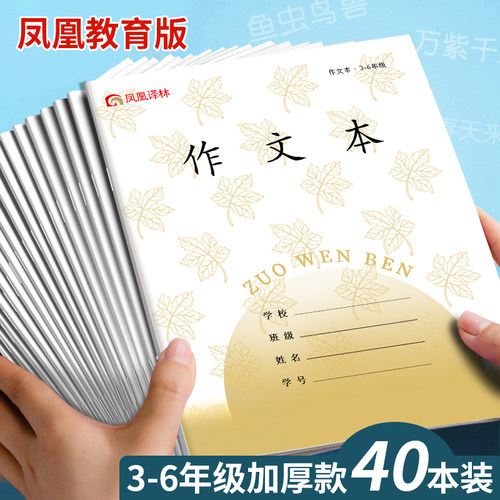 凤凰传媒同款江苏作文本练习本