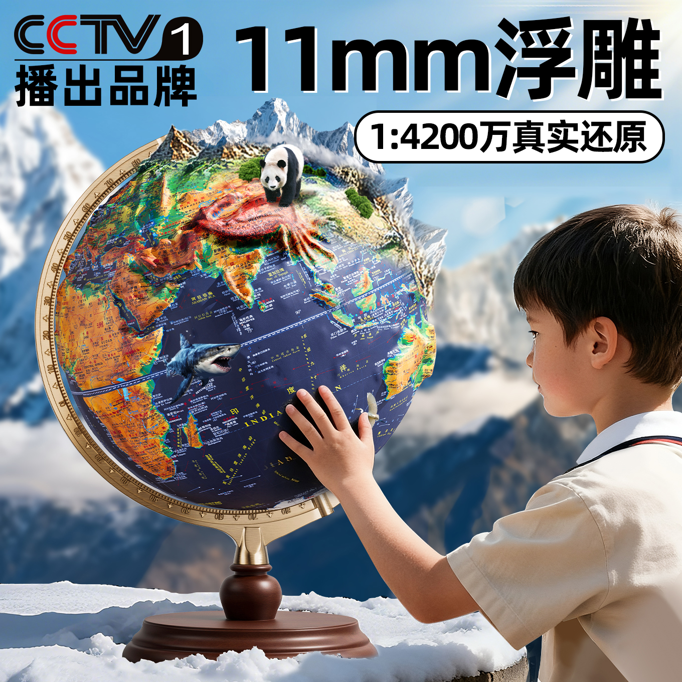 【央妈力荐】11mm立体浮雕地球仪