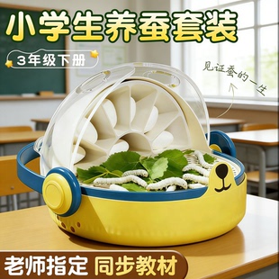 蚕宝宝学生养蚕套装太空养育仓培育饲养盒七彩小蚕宝宝1234龄新鲜