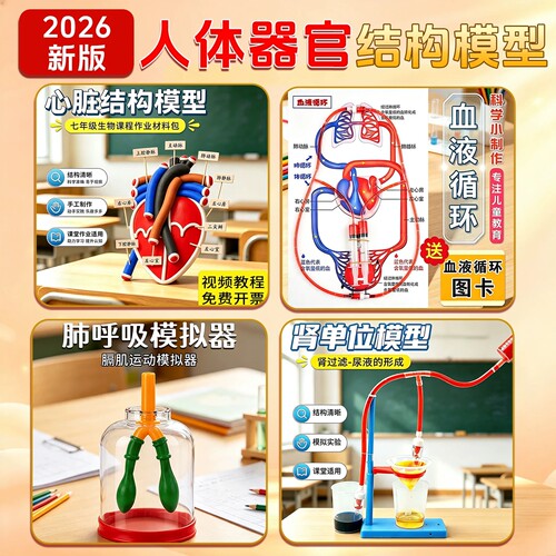 【教材同步】肺呼吸模拟器演示器