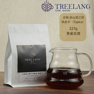 云南铁皮卡咖啡豆 可磨粉发货 黄蜜处理227g单品精品咖啡中度烘焙