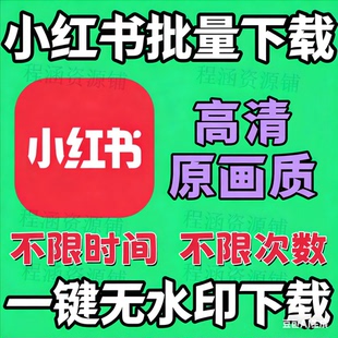 小红书视频图片文案无水印导出下载提取短视频去水印电脑下载软件