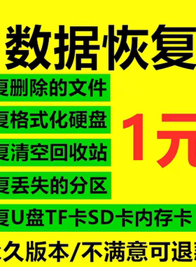 嗨电脑格式U盘内存卡SD卡硬盘大师数据恢复软件工具图片文件文档