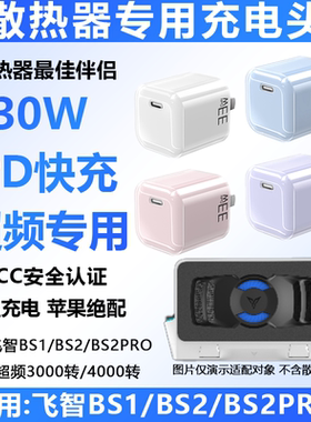 适用飞智BS2PRO BS2 BS1 B7X B8X的30W充电头pd快充头充电头充电器氮化镓笔记本散热器手机散热器充电头