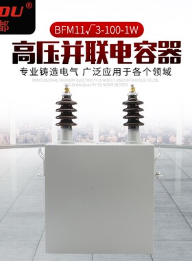 厂家供应成套柜高压户外并联电力电容器现货BFM FFM BAM系列电容