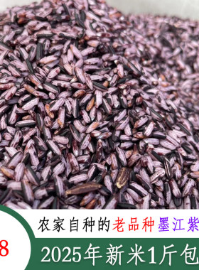 云南墨江老品种紫米2025年新米