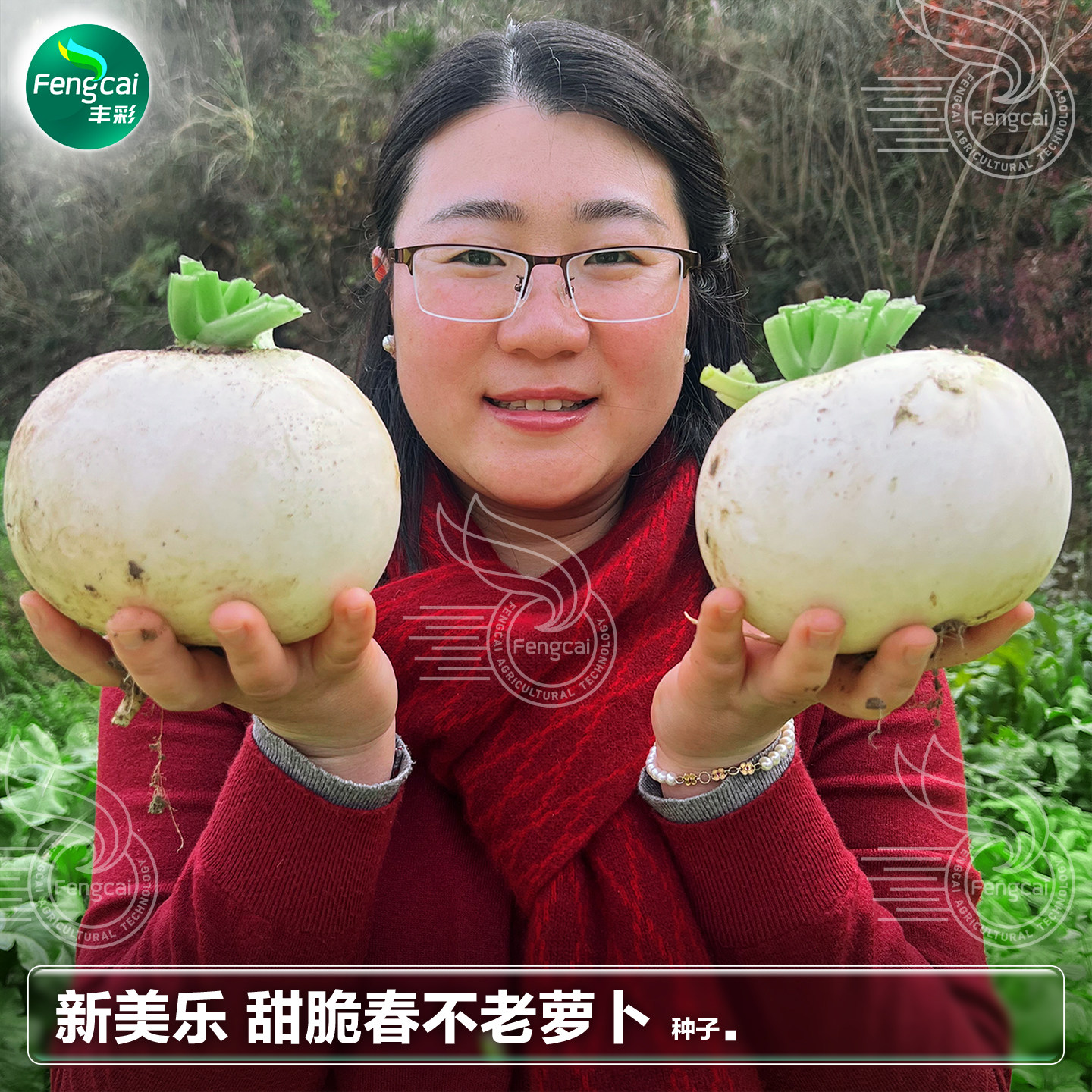 春不老大萝卜种子甜脆汁多耐抽苔