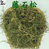 野生木贼叶石松 石子藤 福建中草药500克 舒筋草 藤石松