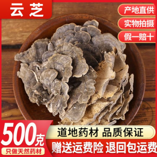 长白山野生云芝 中药材整枝灵芝 云芝蘑 野生灵芝 云芝 500克包邮