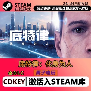 底特律化身为人 Steam正版游戏激活码CDKEY入库全DLC 底特律变人