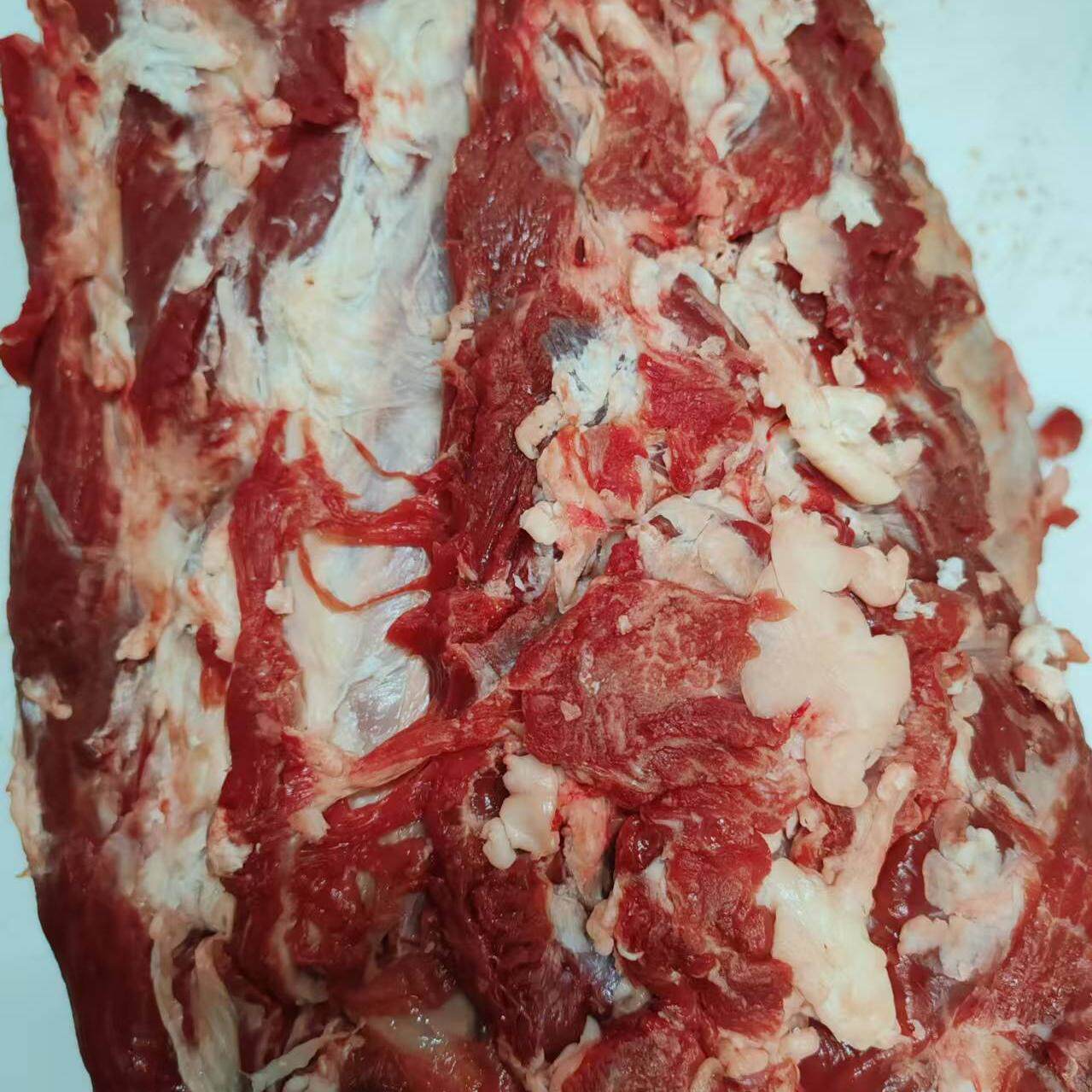 塞北右玉牛吊龙牛通脊二年小黄牛肉新鲜现割右玉牛肉