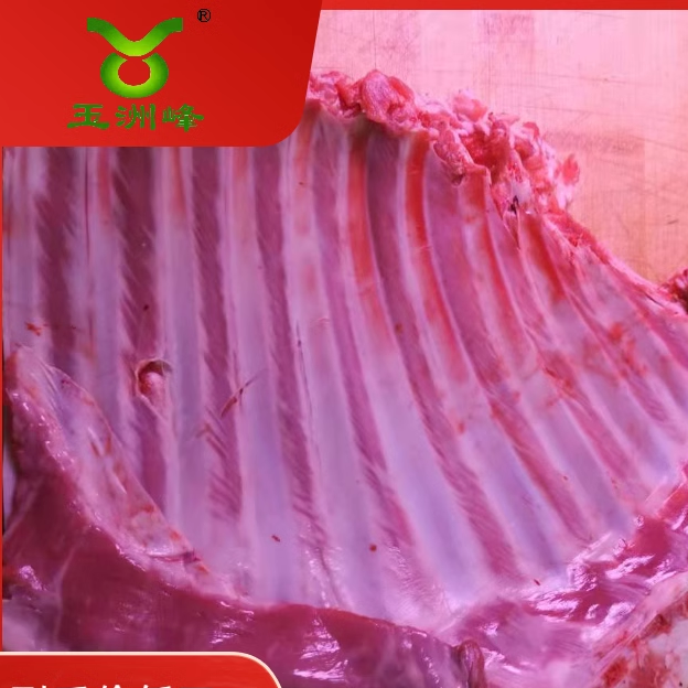 比内蒙羊还棒的右玉羊肉玉洲峰羔羊羊排4斤新鲜冷冻烧烤生羔羊