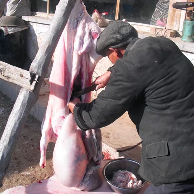 现称现改价玉洲峰右玉羊肉