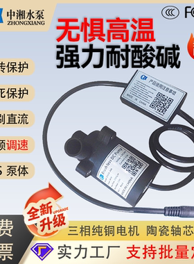 ZX60A迷你长寿命长时间工作化工耐酸碱耐高温循环12V24V潜水泵