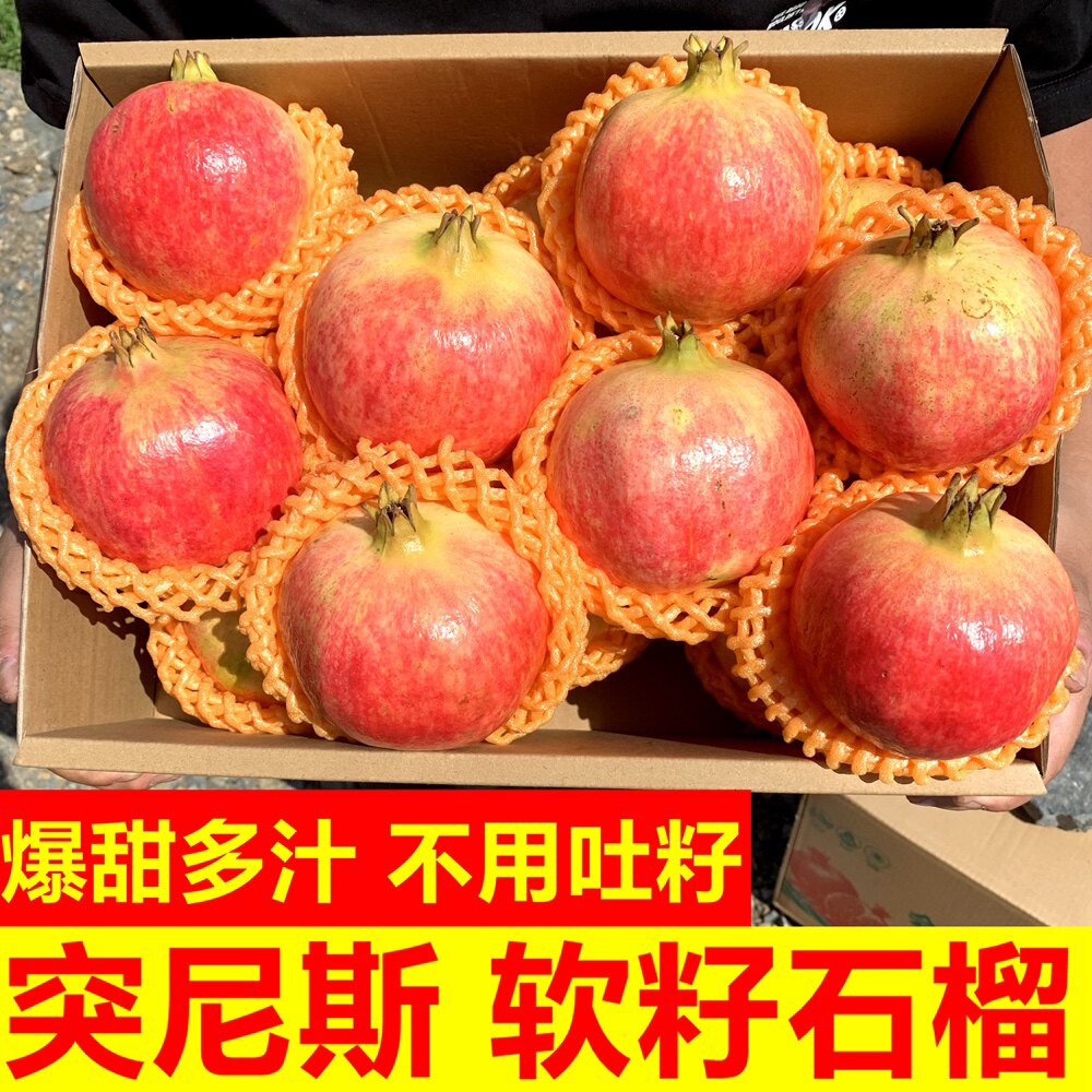 会理软籽石榴粒粒爆汁