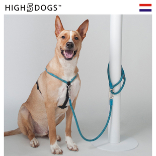 High5Dogs CLIC狗狗牵引绳牵引绳狗绳狗链子遛狗子比熊荷兰进口