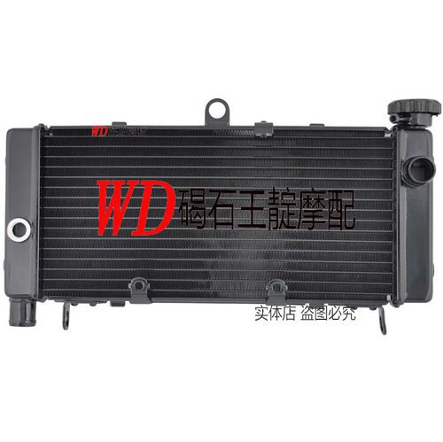 碣石王靛摩配 黄蜂600 皇峰600 98-05年 CB600水箱 散热水箱
