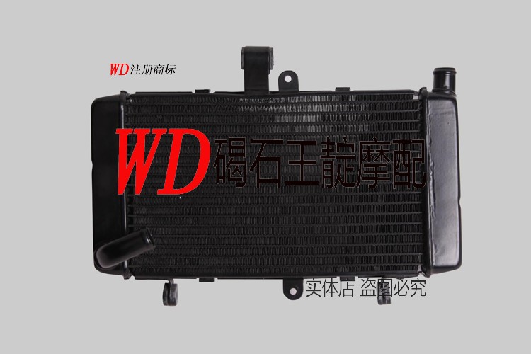 王靛摩配 CBR250R 19期 88-89年水箱总成/水箱散热器/水冷却器