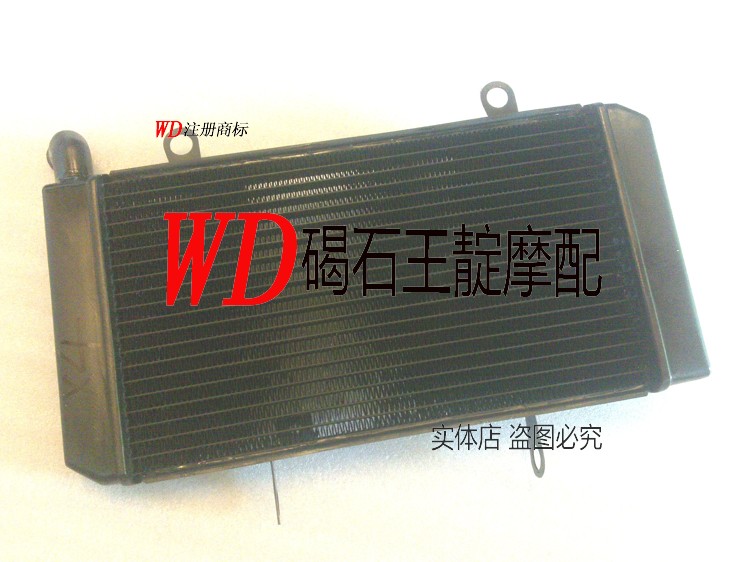 碣石王靛摩配 CB1300 X4  水箱总成