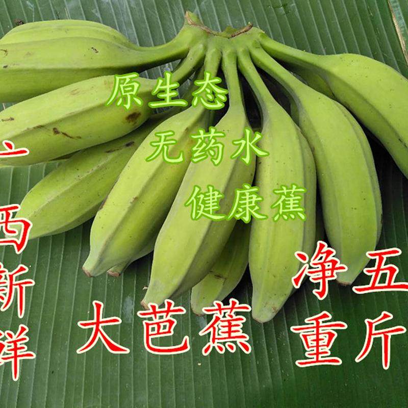 大芭蕉新鲜芭蕉香蕉新鲜水果芭蕉净重5斤大蕉牛角蕉 非苹果粉米蕉,水产肉类/新鲜蔬果/熟食,香蕉,淘宝优惠券,粉丝福利购,淘宝优惠卷