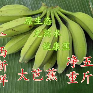 大芭蕉新鲜芭蕉香蕉新鲜水果芭蕉净重5斤大蕉牛角蕉 非苹果粉米蕉