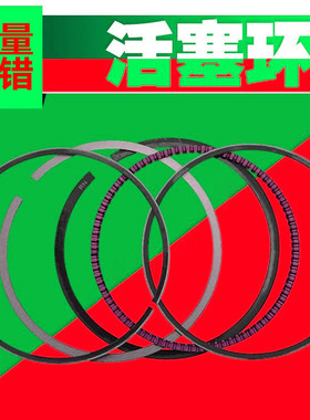 适用本田黑鸟黄蜂CB600 750 CBR900 893摩托车球墨铸铁活塞环配件