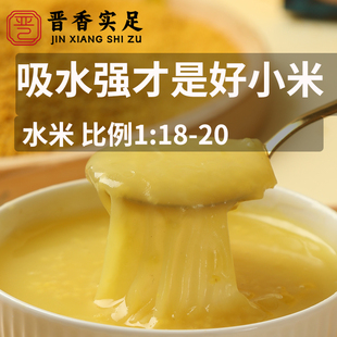 晋谷21号山西吕梁兴县小米2024新米黄小米农家小米小米粥杂粮