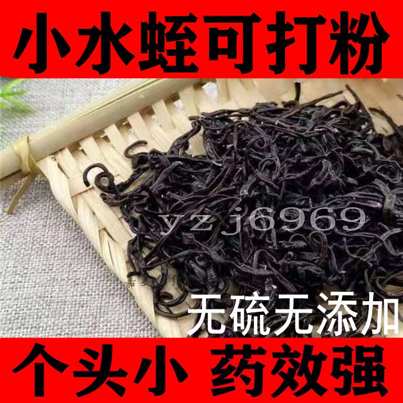 中药材野生清水日本医蛭小水蛭蚂蟥干品干货500g包邮免费磨水蛭粉