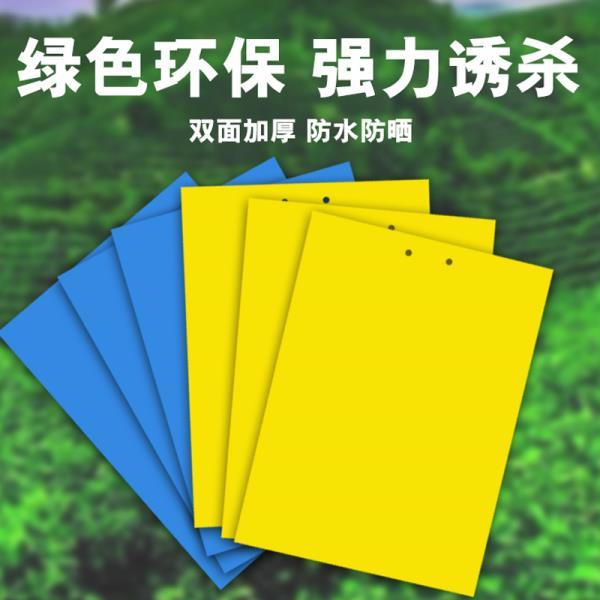 双面粘虫板黄板诱虫板白粉虱蚜虫黄板蓟马蓝板小黑飞茶园大棚果园