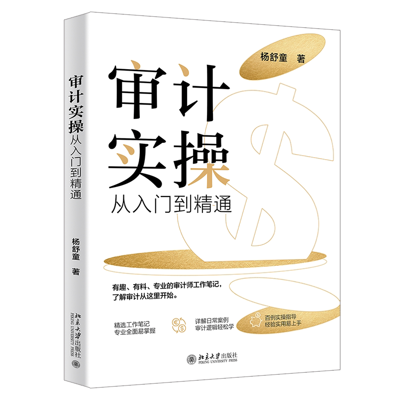 审计实操从入门到精通 杨舒童 北京大学出版社 9787301355770