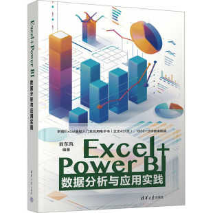 Power 清华大学出版 BI数据分析与应用实践 9787302683278 社 翁东风 Excel