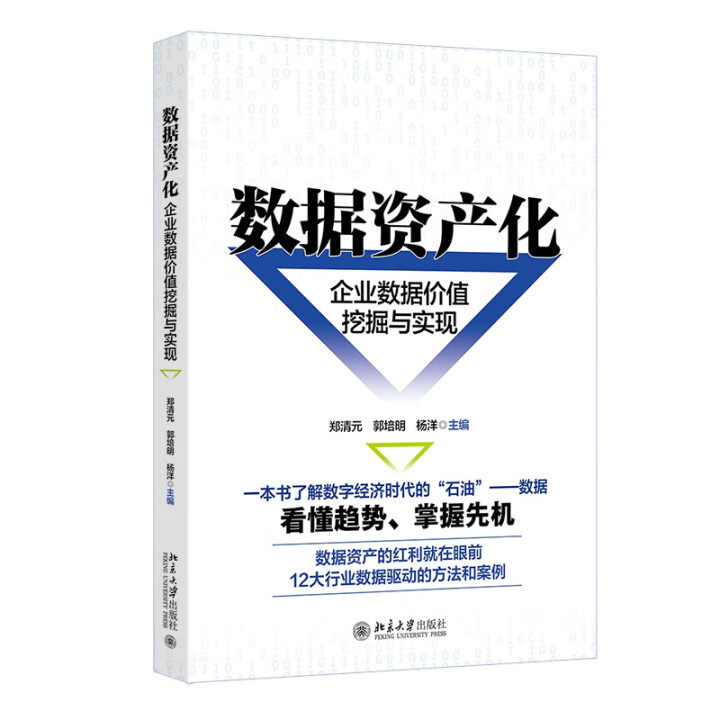 数据资产化 企业数据价值挖掘与实现 郑清元 郭培明 杨洋 北京大学出版社  9787301360484
