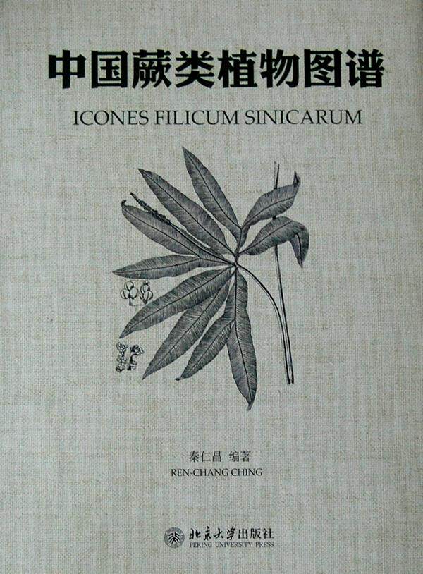 中国蕨类植物图谱 秦仁昌　编著 北京大学出版社