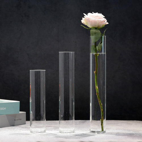 花瓶玻璃透明直筒水培植物插鲜花客厅桌面高级感单支干花器皿摆件
