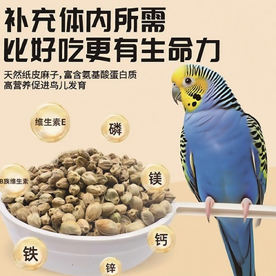 新麻子鸟粮大小颗粒奖励零食鸟食