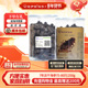 老尹家海参 80头 7年底播淡干海参干货冬季 滋补250g