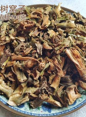 干树窝子干芋头苗杆子树禾子