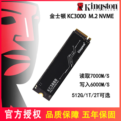 金士顿22801tm2高速SSD