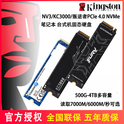 金士顿ps5SSD固态硬盘4TM2NVme
