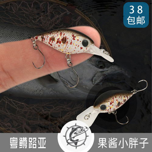 2021年地狱猫路亚冬季浮水胖子