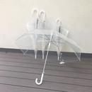 一次性透明雨伞 磨砂加厚舞蹈道具长伞婚礼拍照学生儿童diy跳舞伞